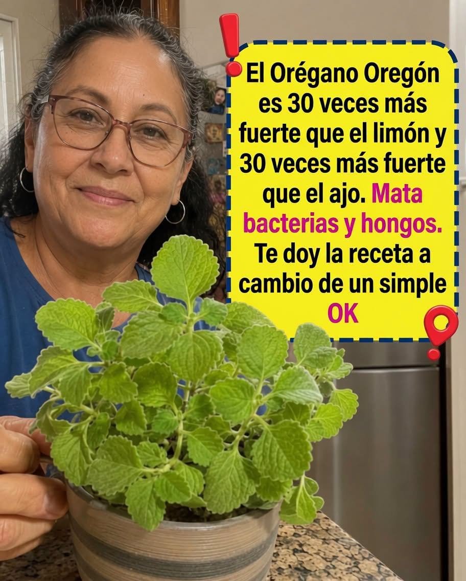 Orégano de Oregón