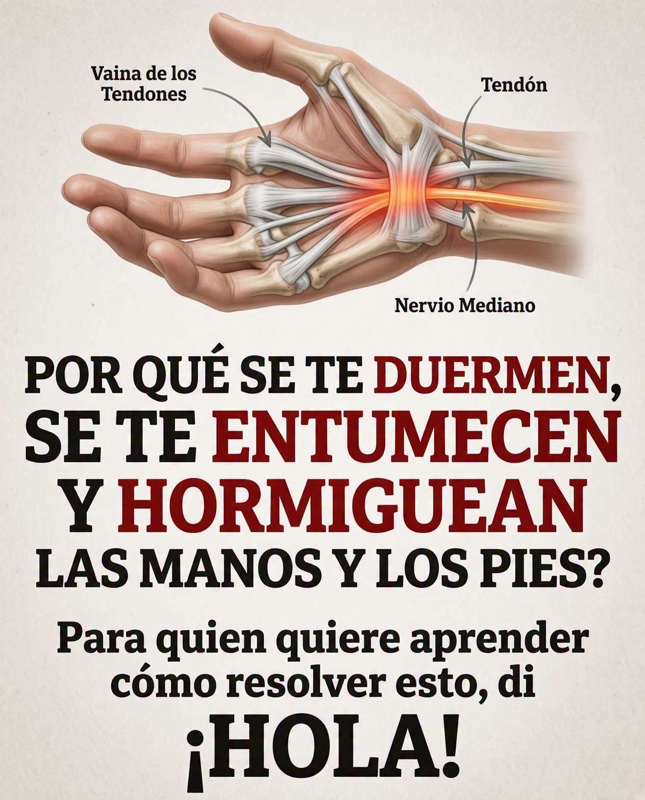Detallado de mano destacando vaina de tendones