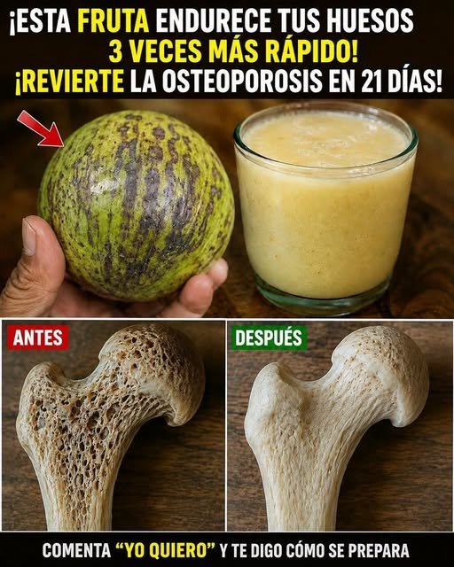 Jugo de Aguacate