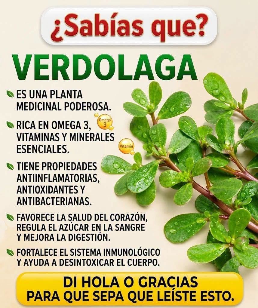 Imagen de Verdolaga