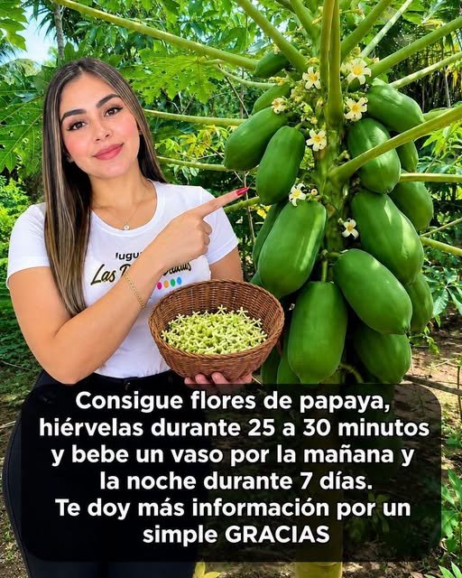 Flor de Papaya