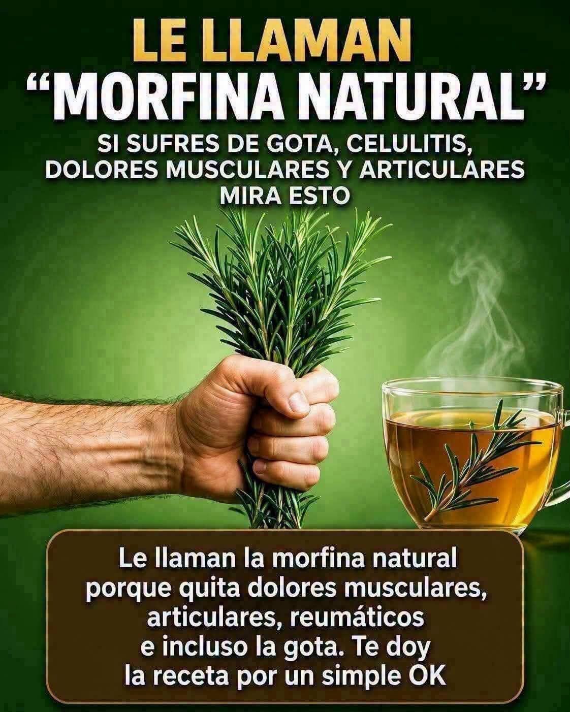 Infusión de romero