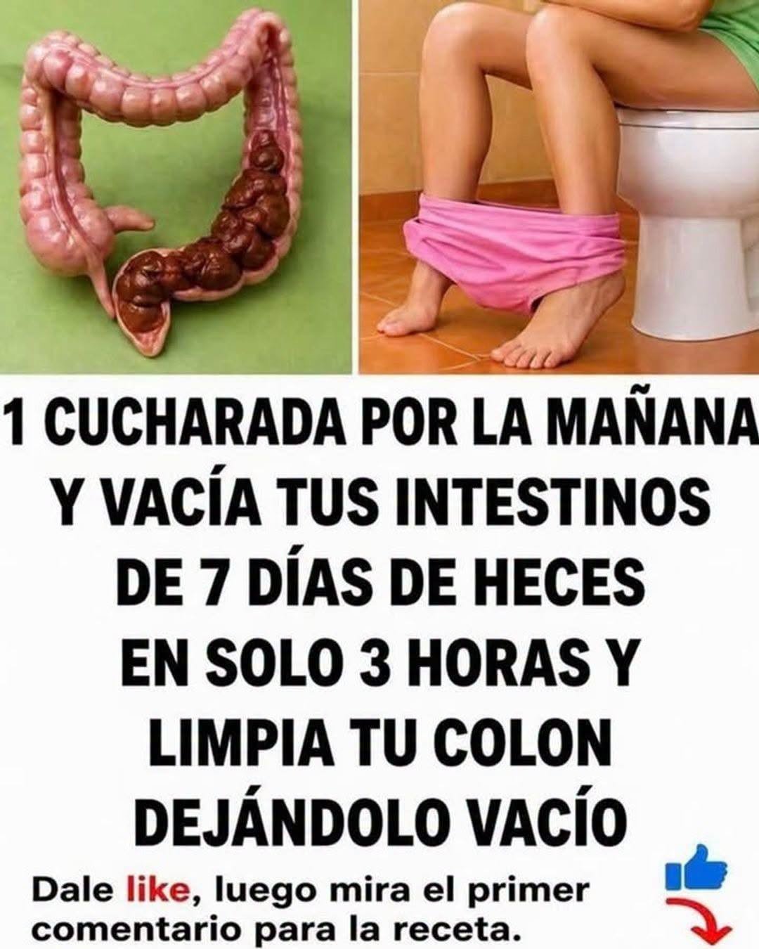 Salud digestiva