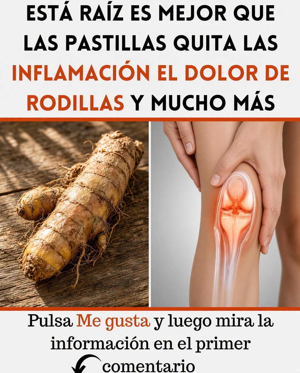 Cúrcuma y sus beneficios