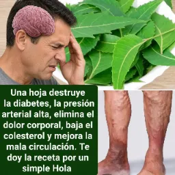 Hoja de Guayaba