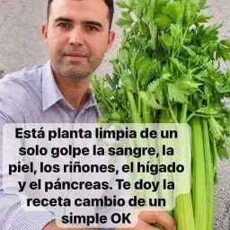 El nutritivo jugo de apio