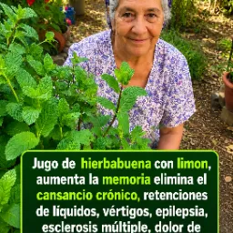 Jugo de Hierbabuena y Limón
