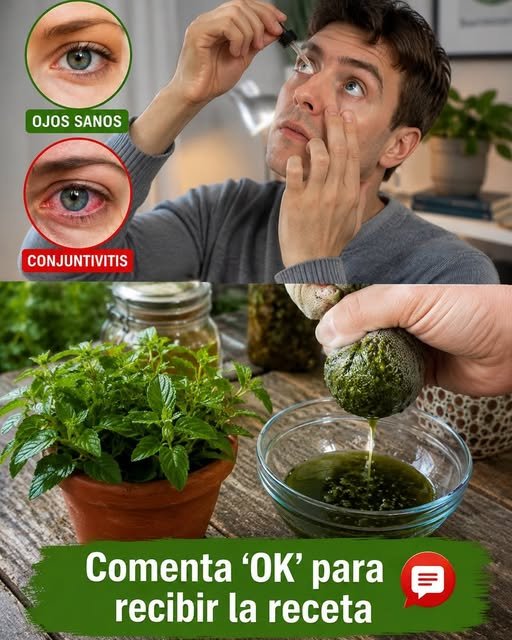 Salud ocular con moringa