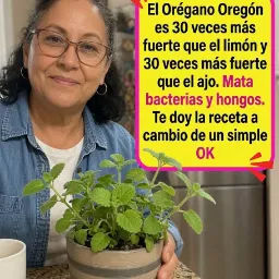 Orégano de Oregón