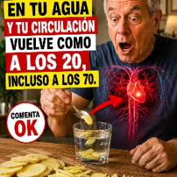 Recetas Caseras de Hidratación