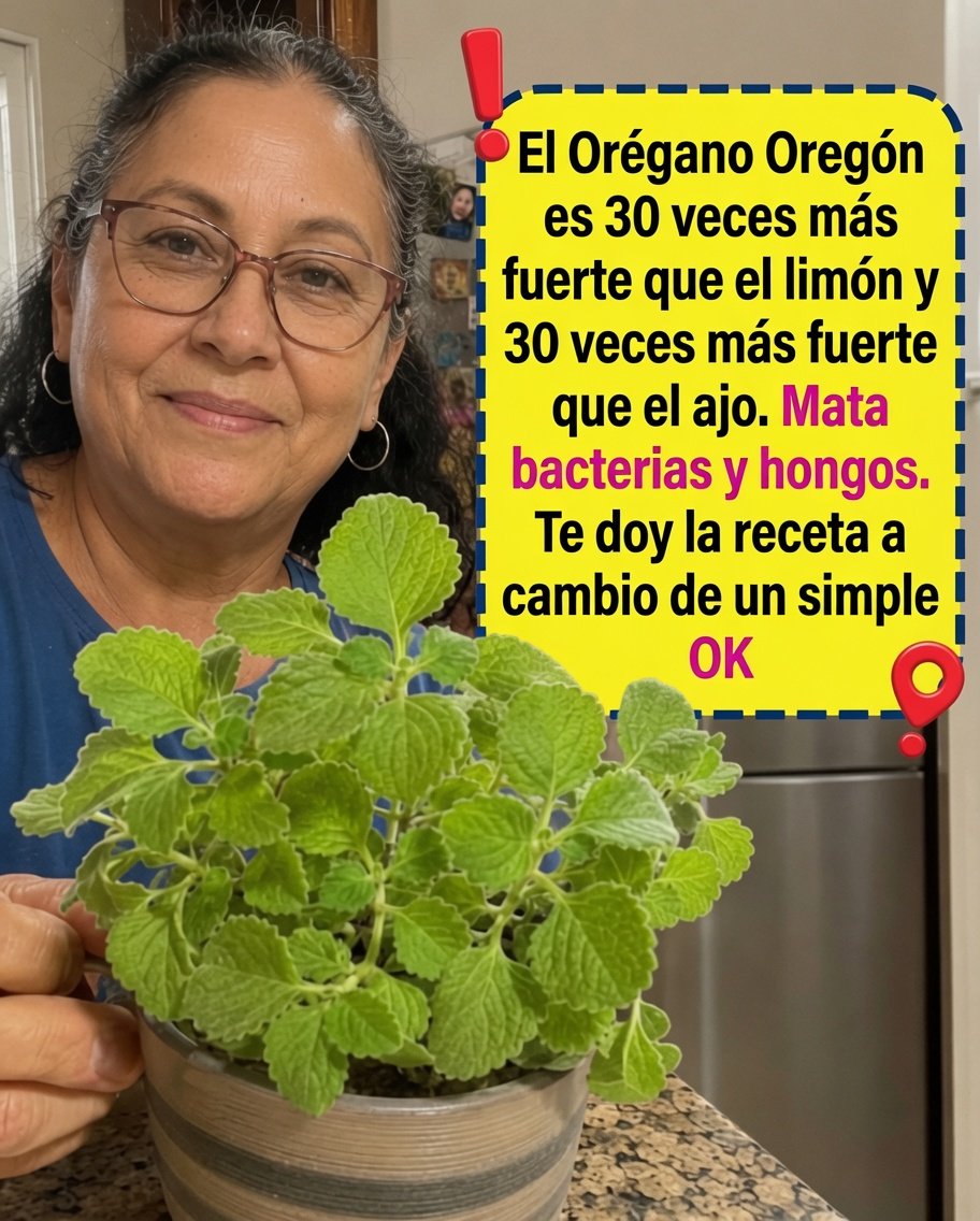 Orégano de Oregón