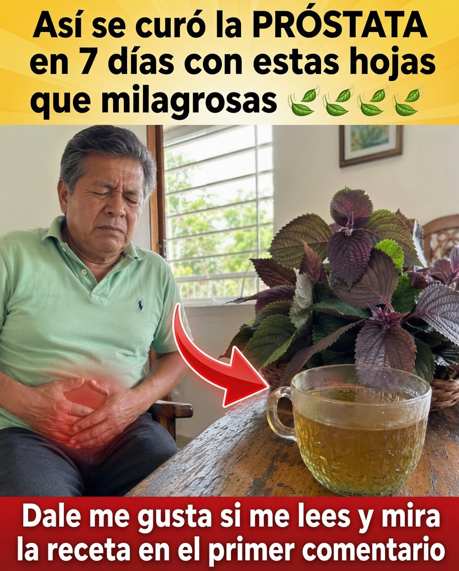 Infusión de raíz de ortiga