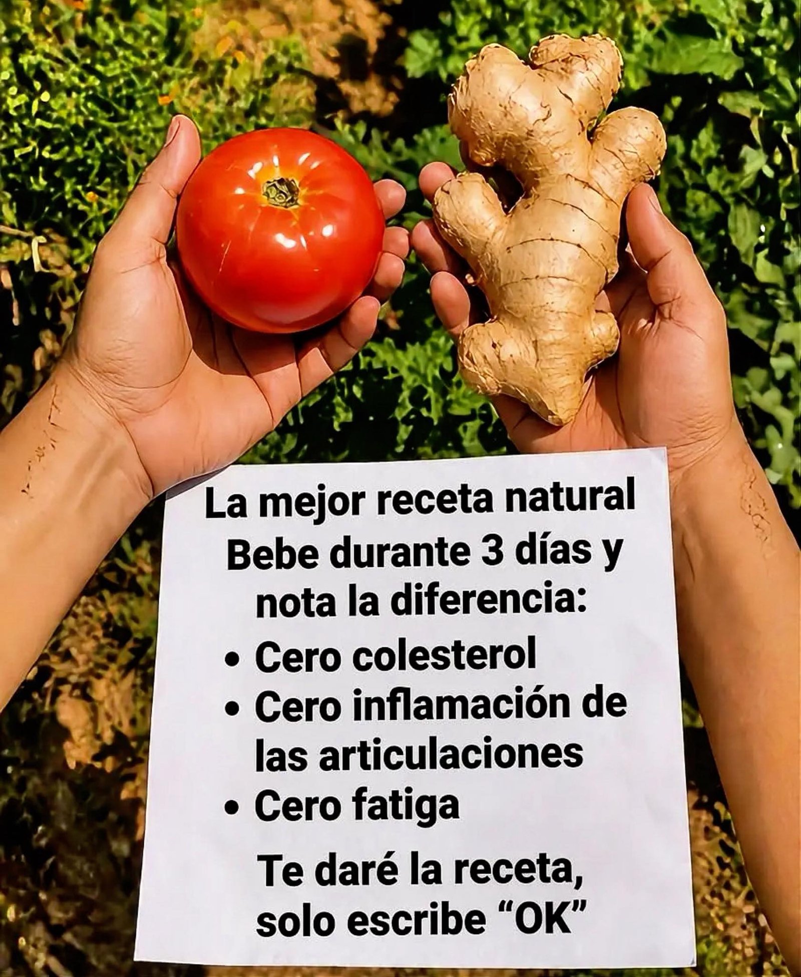 Jugo natural Cero Colesterol y Cero Inflamación