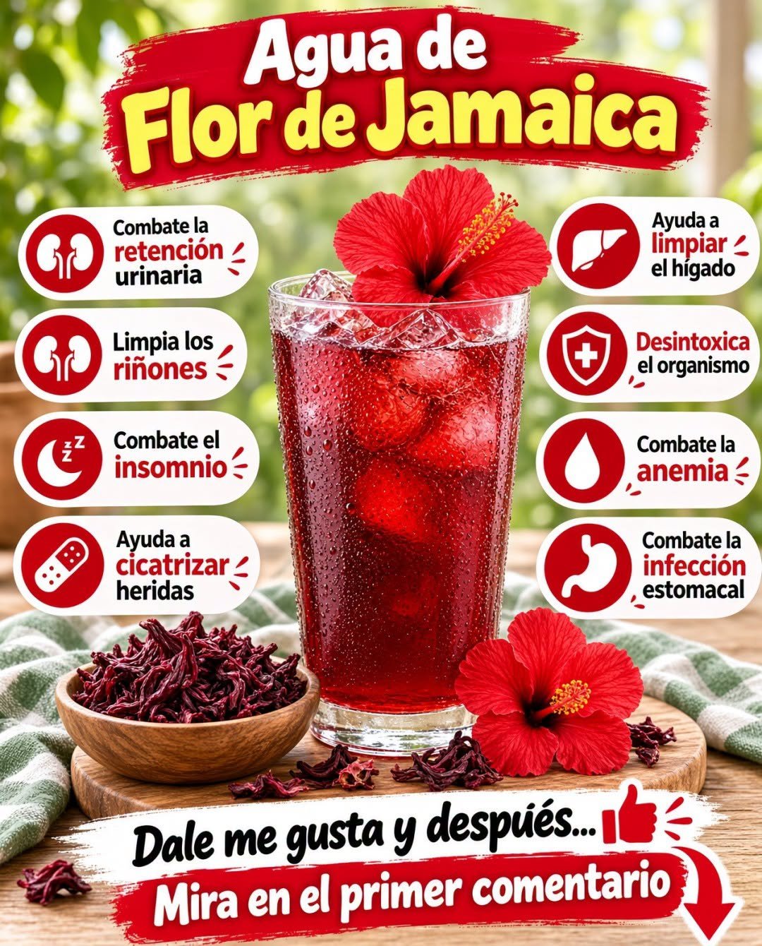 Agua de Flor de Jamaica