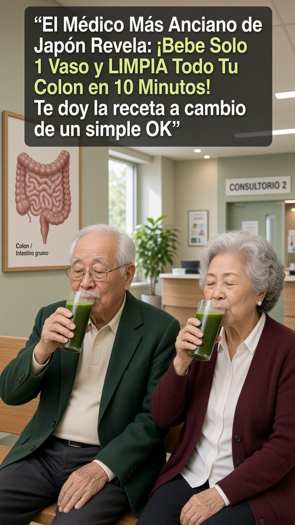 Bebida de chía