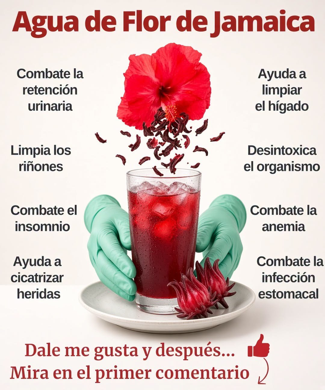 Agua de flor de jamaica con laurel y canela
