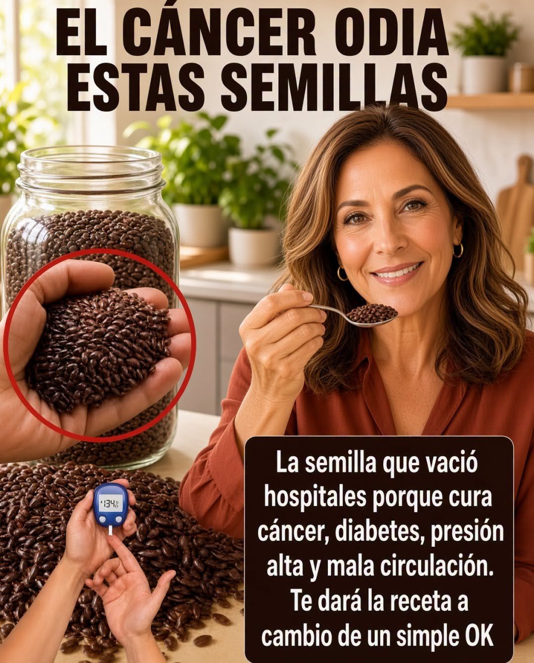 Semillas y su Beneficio para la Salud