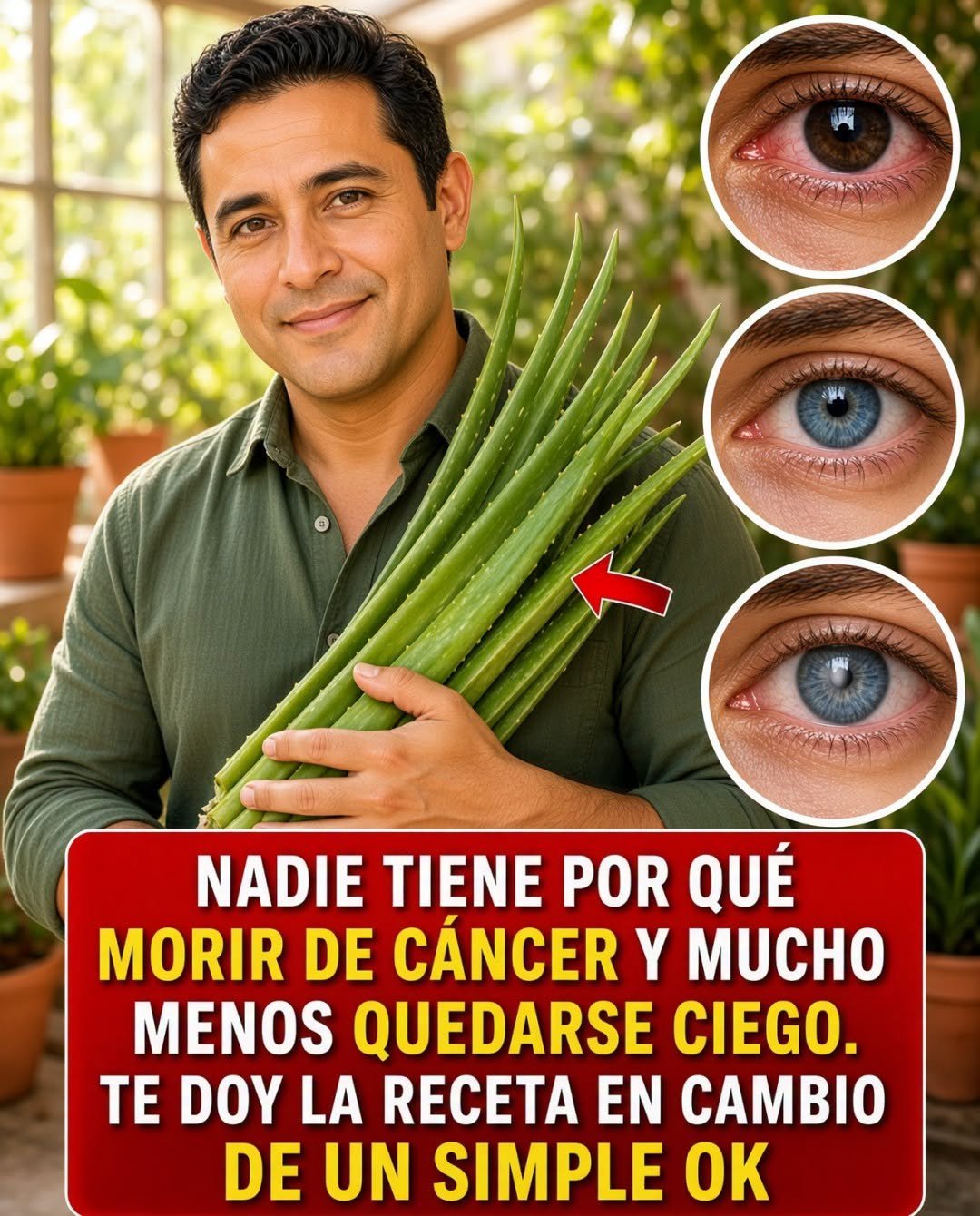 Aloe Vera Uso y beneficios