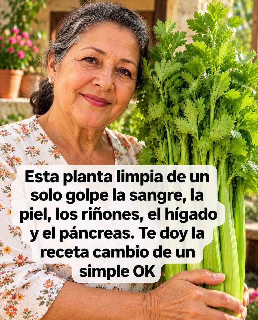 Jugo Detox de Apio