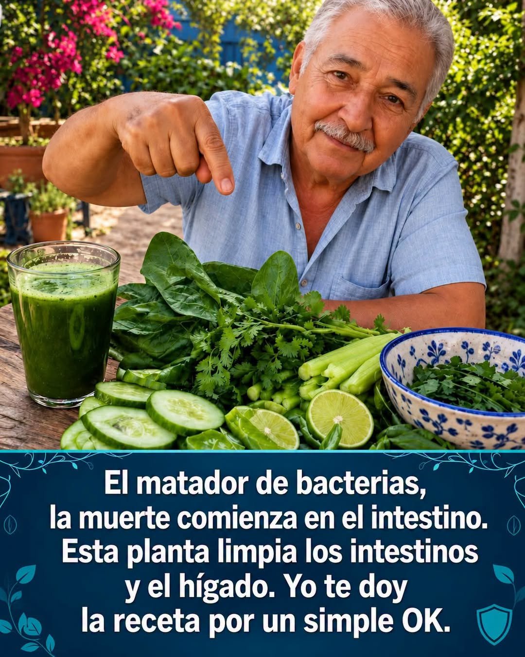 Beneficios de una buena alimentación para el intestino y el hígado