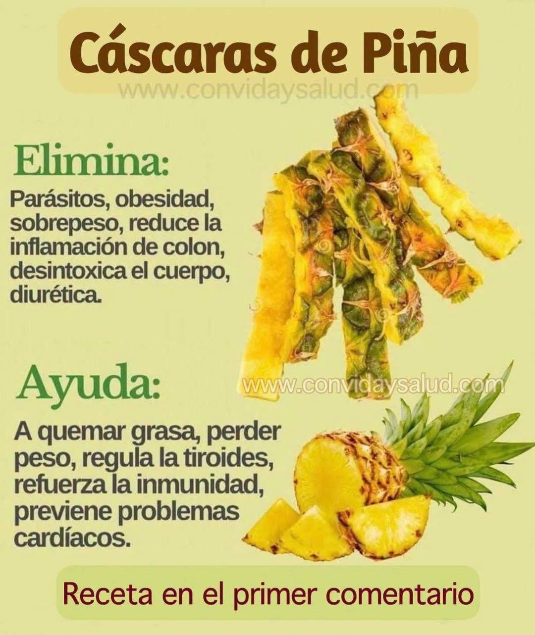 Cáscara de piña