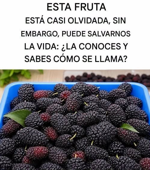 Moras frescas