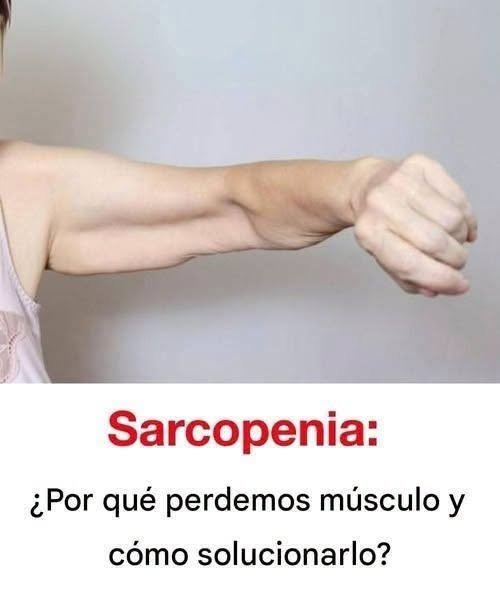 Alimentos saludables para aumentar masa muscular