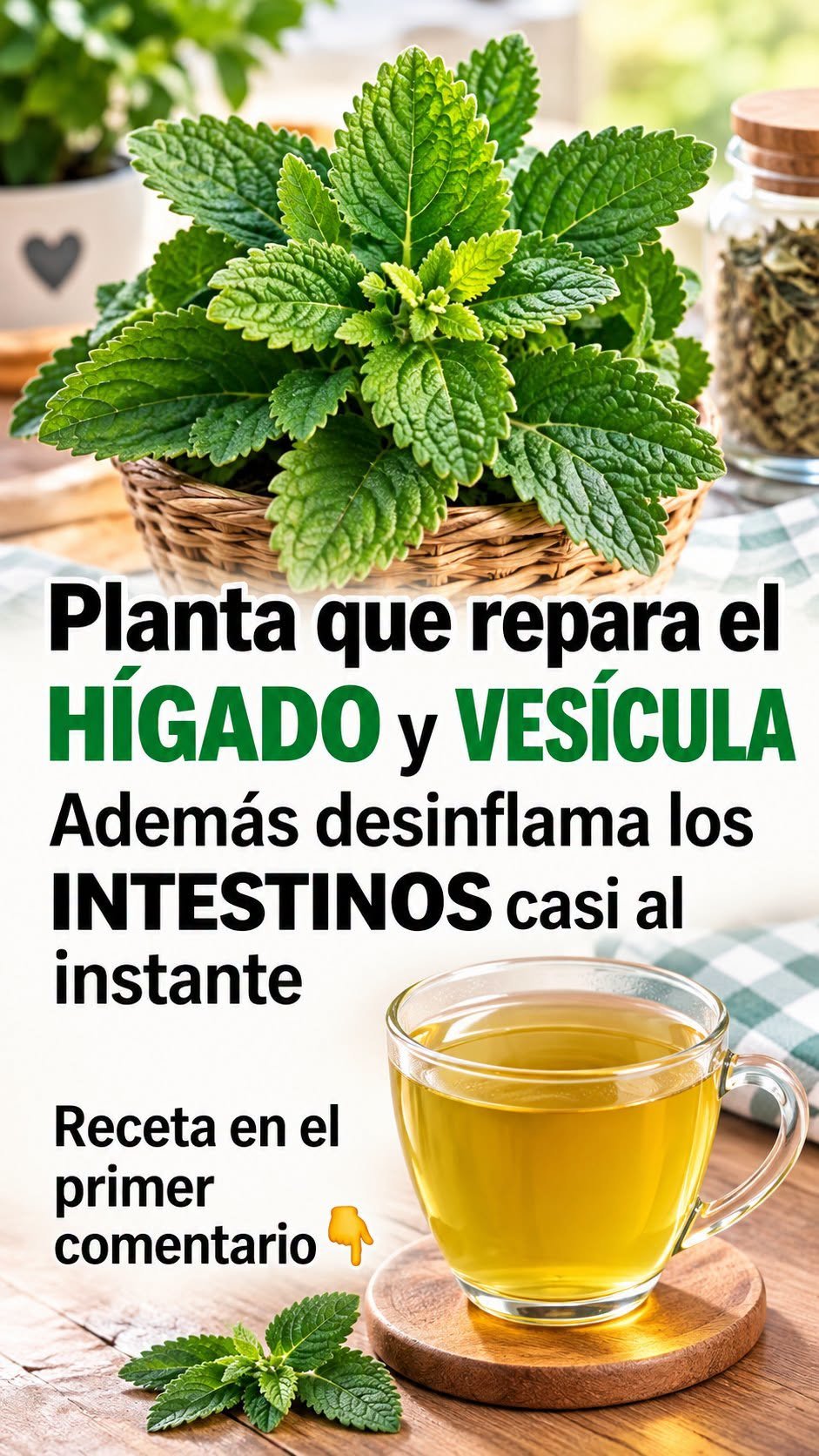 Orégano Orejón