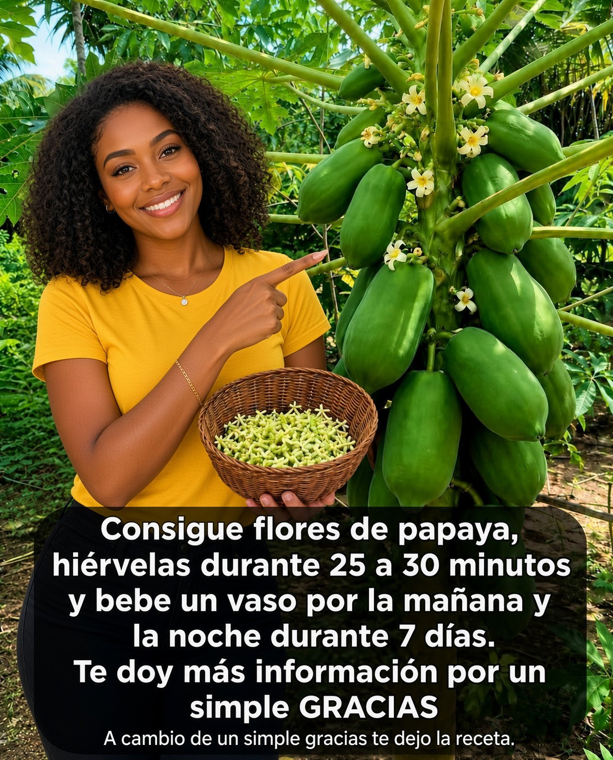 Infusión de Flor de Papaya