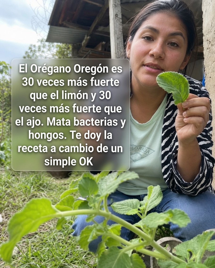 Infusión de Ajo y Orégano